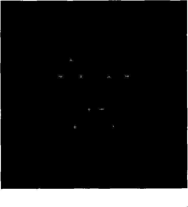 Method and device for confirming characteristic point position in image