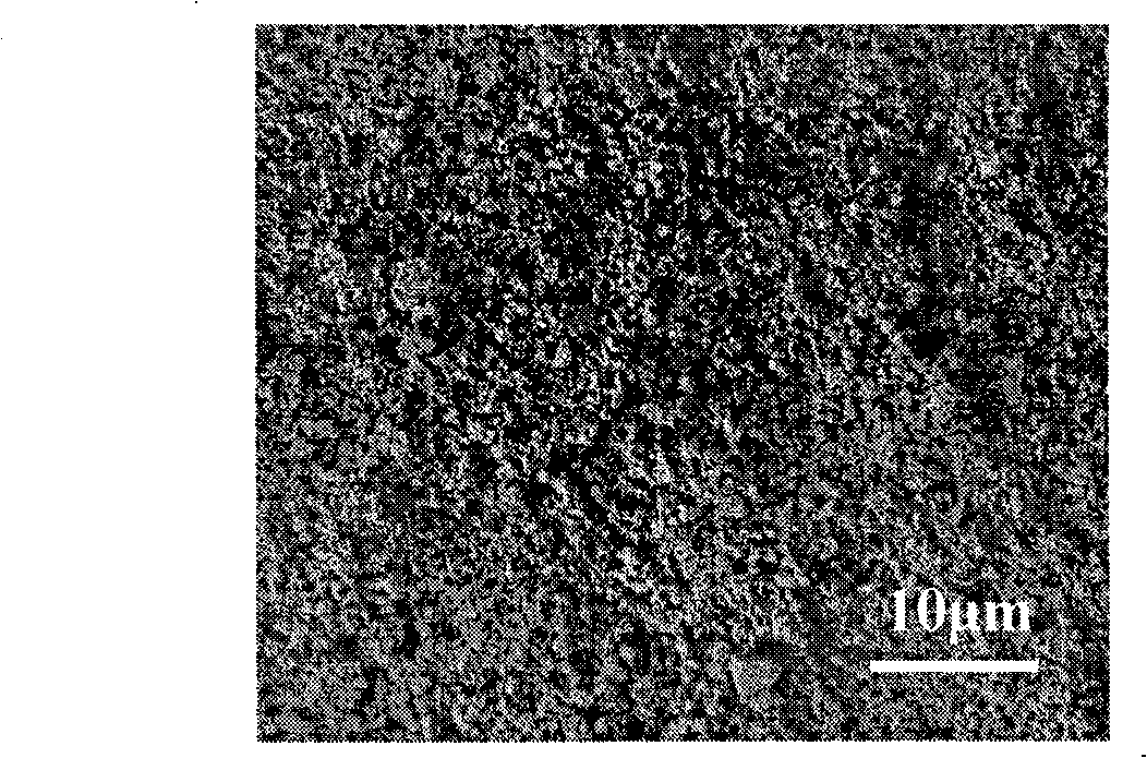 Preparation of carbon/carbon composite material molybdenum disilicide outer coating