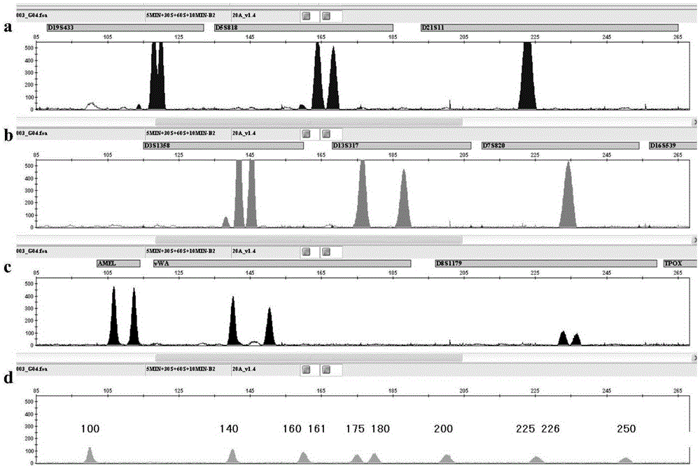 Molecular weight internal lane standard and application thereof