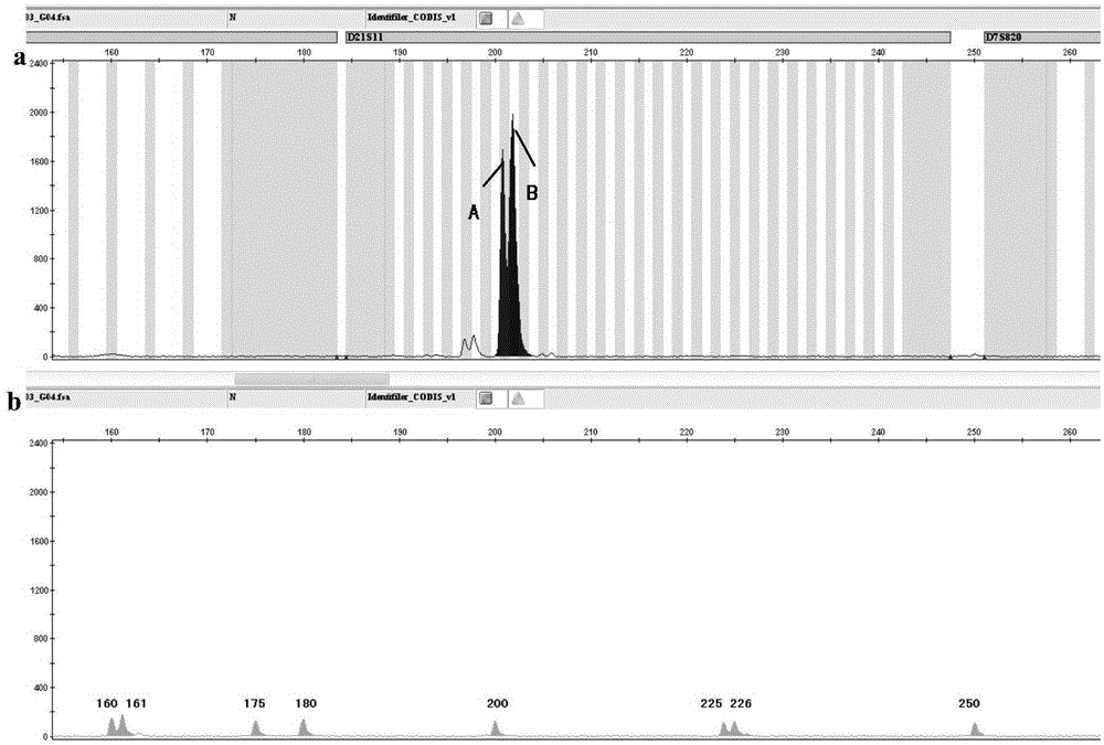 Molecular weight internal lane standard and application thereof