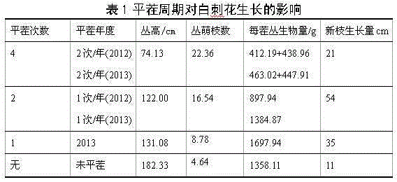 Method of high-level stumping and rejuvenating of bush sophora davidii