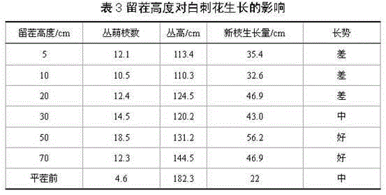 Method of high-level stumping and rejuvenating of bush sophora davidii