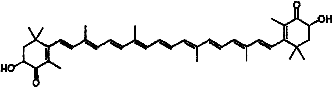 Application of astaxanthin as co-sensitizing agent in dye-sensitized solar cell