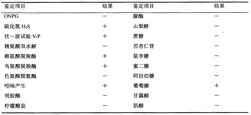 A Virulent Vaccine Strain of Edwardsiella tarda and Its Application