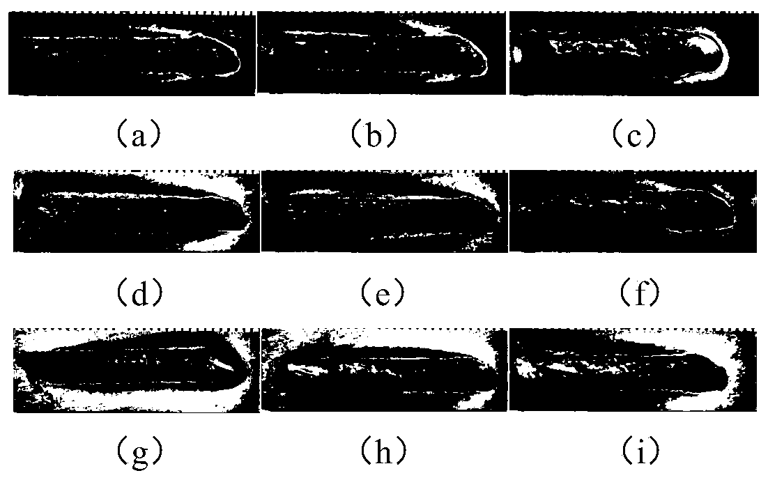 Ceramic reinforced Ni-based composite coating applying to steel surface through laser cladding and preparation method thereof