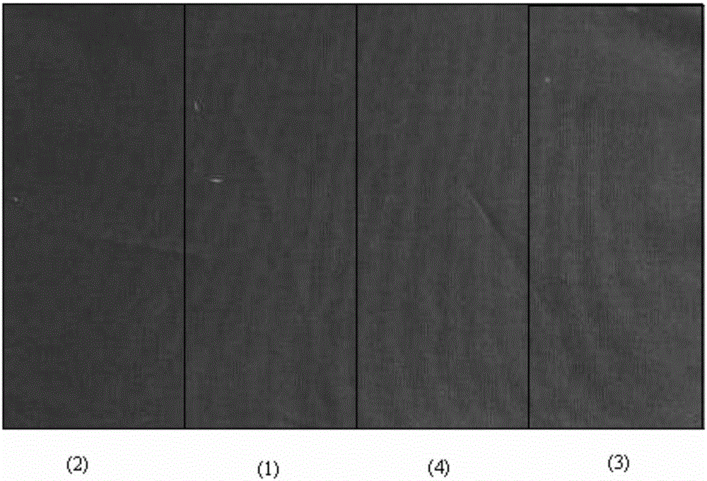 Organic rose-bengal pigment, preparation method thereof and application of pigment in water-based coating printing paste or ink