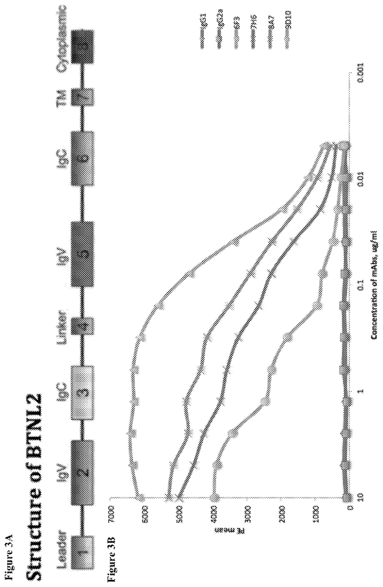 Methods for treating cancer using combinations of Anti-btnl2 and immune checkpoint blockade agents