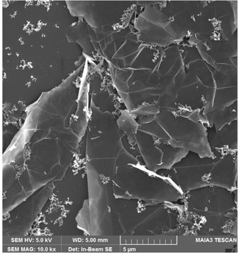 Method for preparing graphene composite conductive paste by microwave-ultrasonic and products obtained therefrom