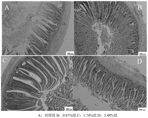 Traditional Chinese veterinary medicine radix astragali compound granules capable of promoting growth and enhancing immunity