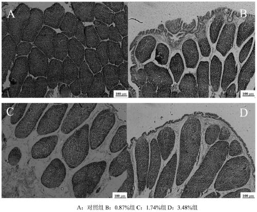 Traditional Chinese veterinary medicine radix astragali compound granules capable of promoting growth and enhancing immunity