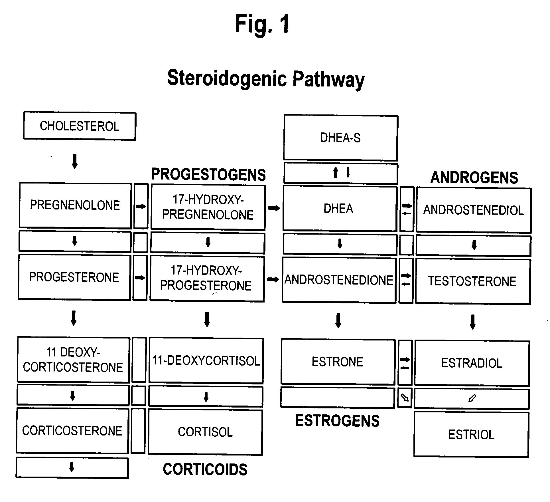 Methods of treating disorders having a component of mercury toxicity