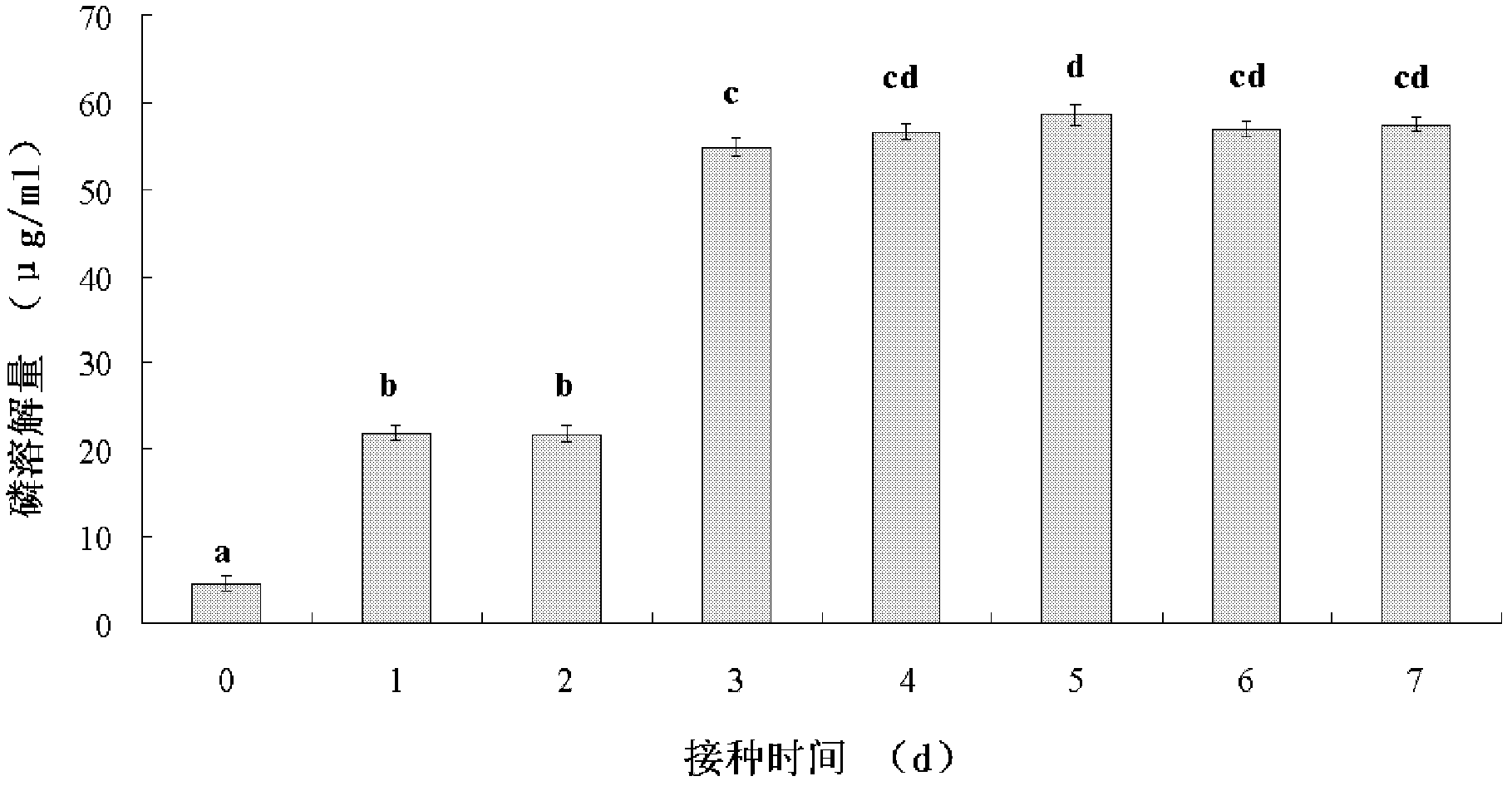 Application of Paenibacillus macerans strain in dissolution of phosphorus source in soil or eutrophic water