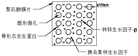 Stent for directional induction of neural stem cell differentiation and preparation method thereof