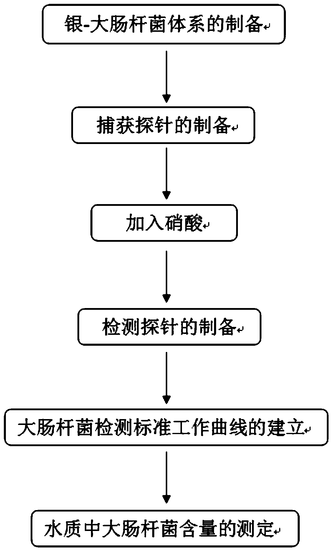 Method for determining escherichia coli content in water