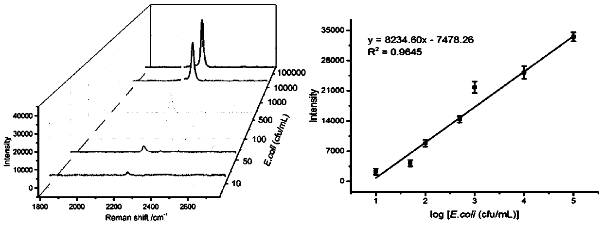 Method for determining escherichia coli content in water