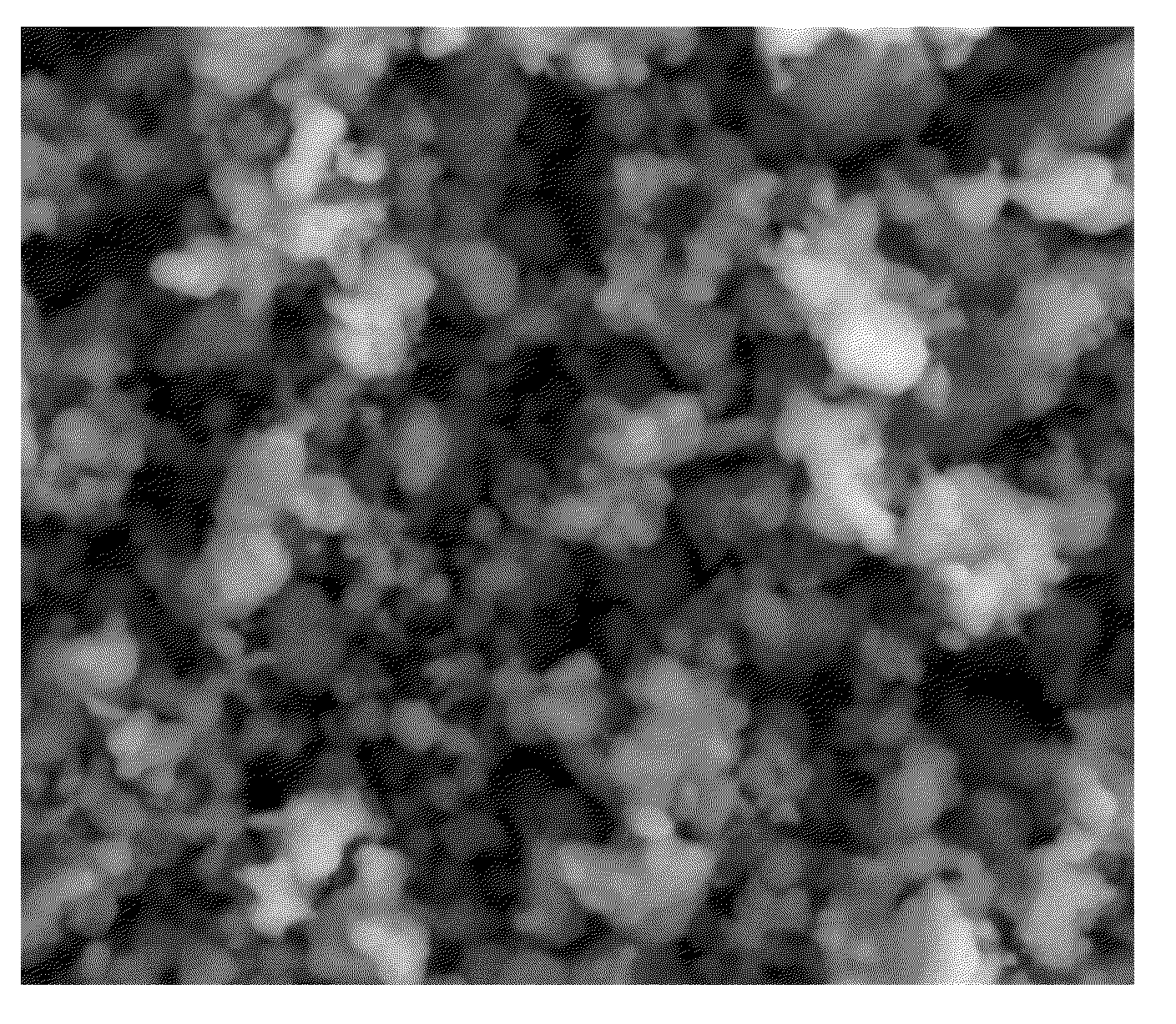 Nano-Positive Electrode Material of Lithium Cell and Method for Preparation thereof