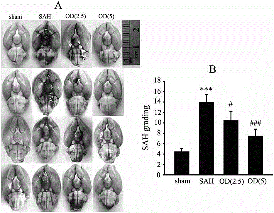 Application of Hedyotis diffusa