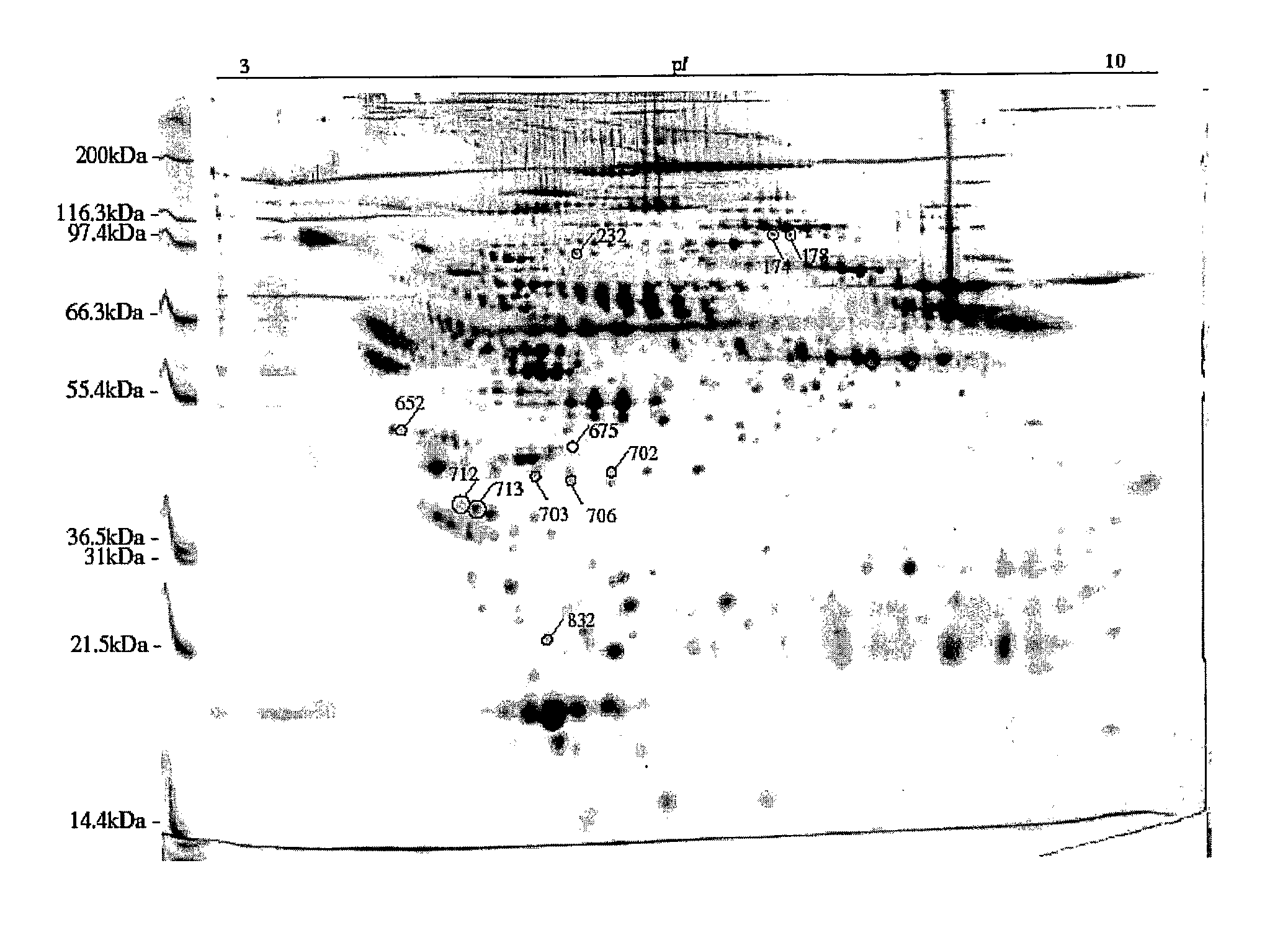 Methods and Compositions Relating to Alzheimer's Disease