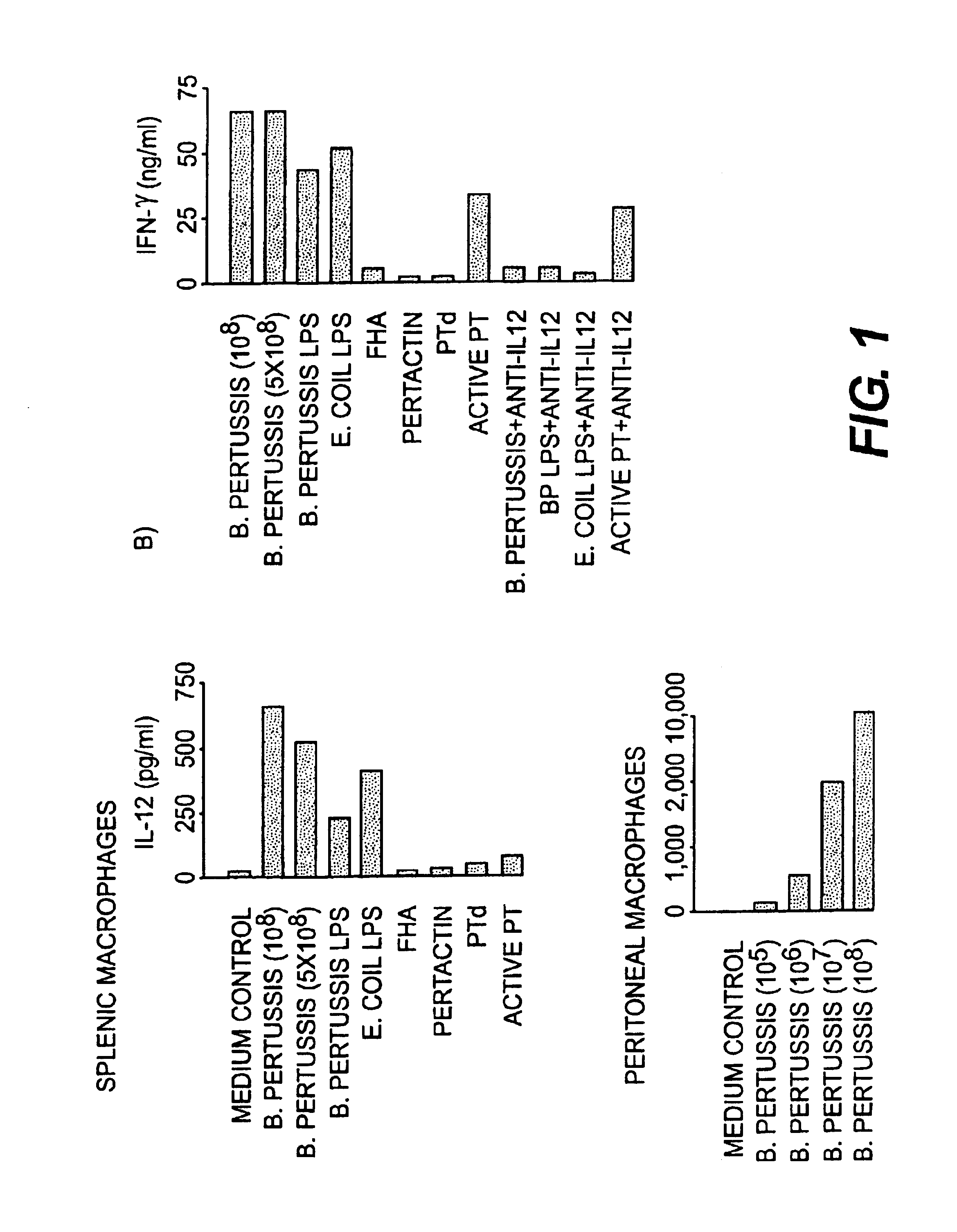 IL-12 as an adjuvant for Bordetella pertussis vaccines