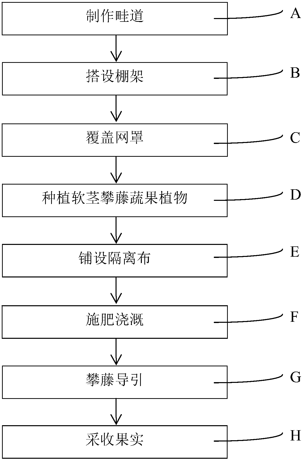 Tunnel-type soft-stem climbing vine vegetable and fruit cultivation method and device