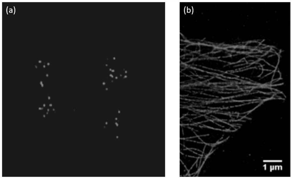 Random optical reconstruction and structured light illumination composite super-resolution imaging system