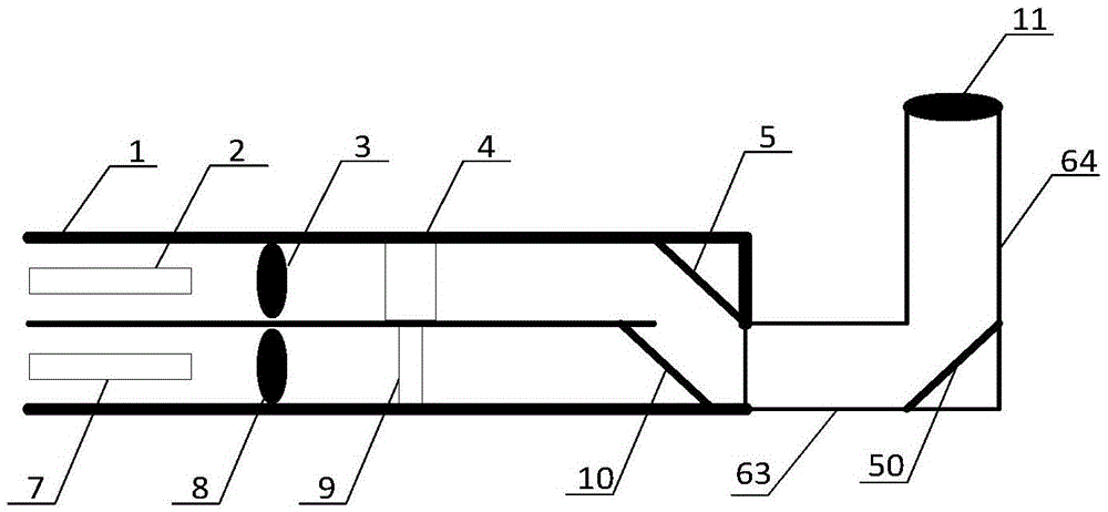 A Portable and Adjustable Raman Probe