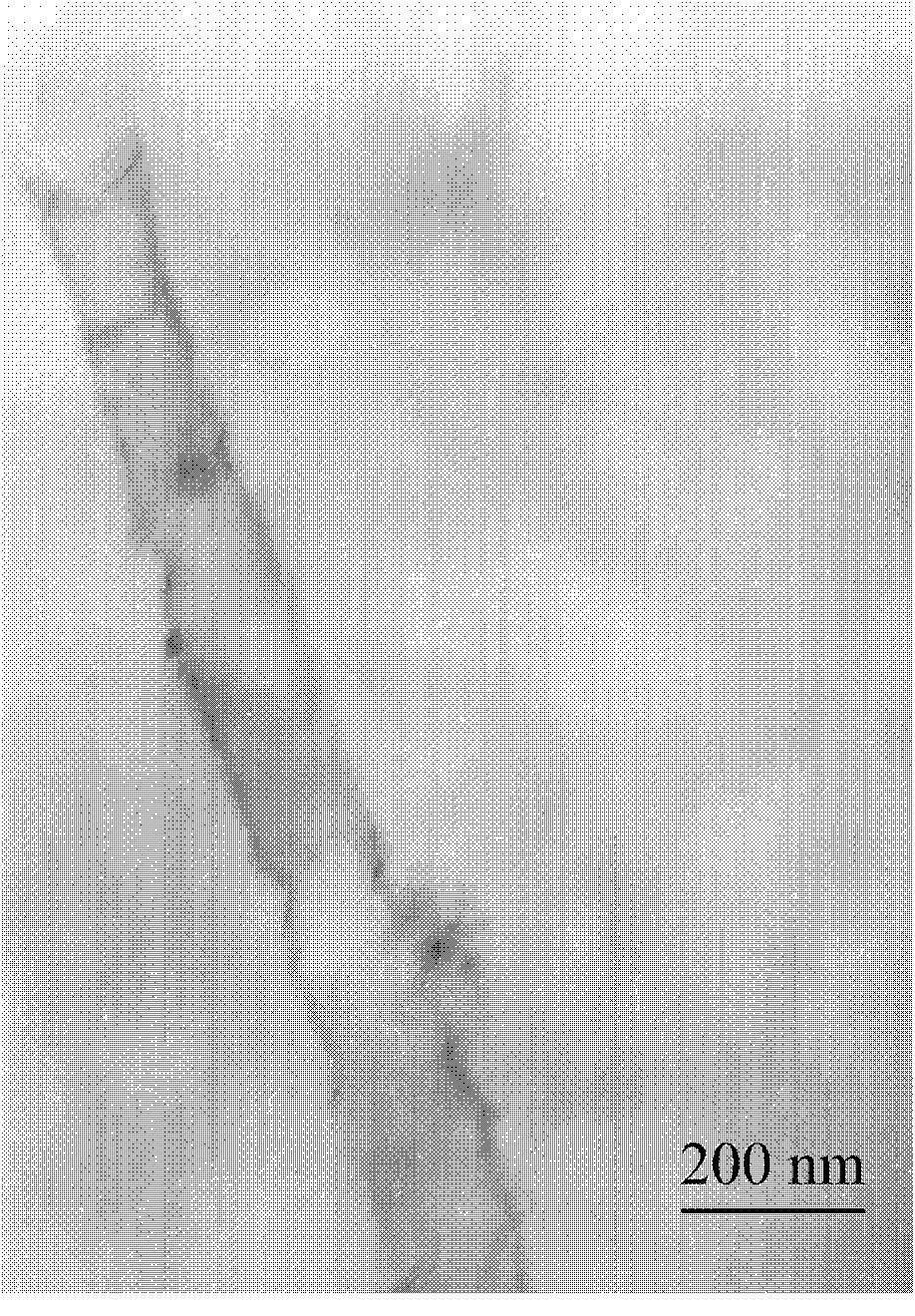 Preparation method of tungsten disulfide nanotube