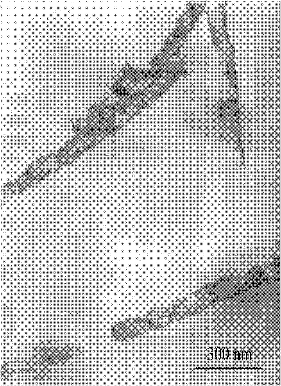 Preparation method of tungsten disulfide nanotube