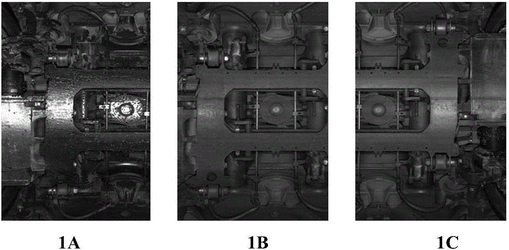 Locomotive vehicle deicing fluid