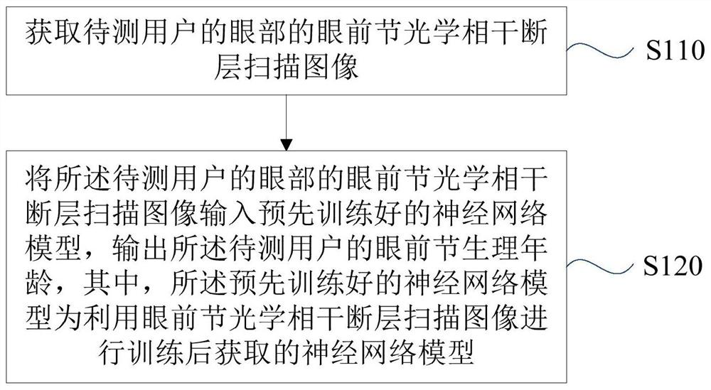 Anterior segment physiological age prediction method and device, server and storage medium