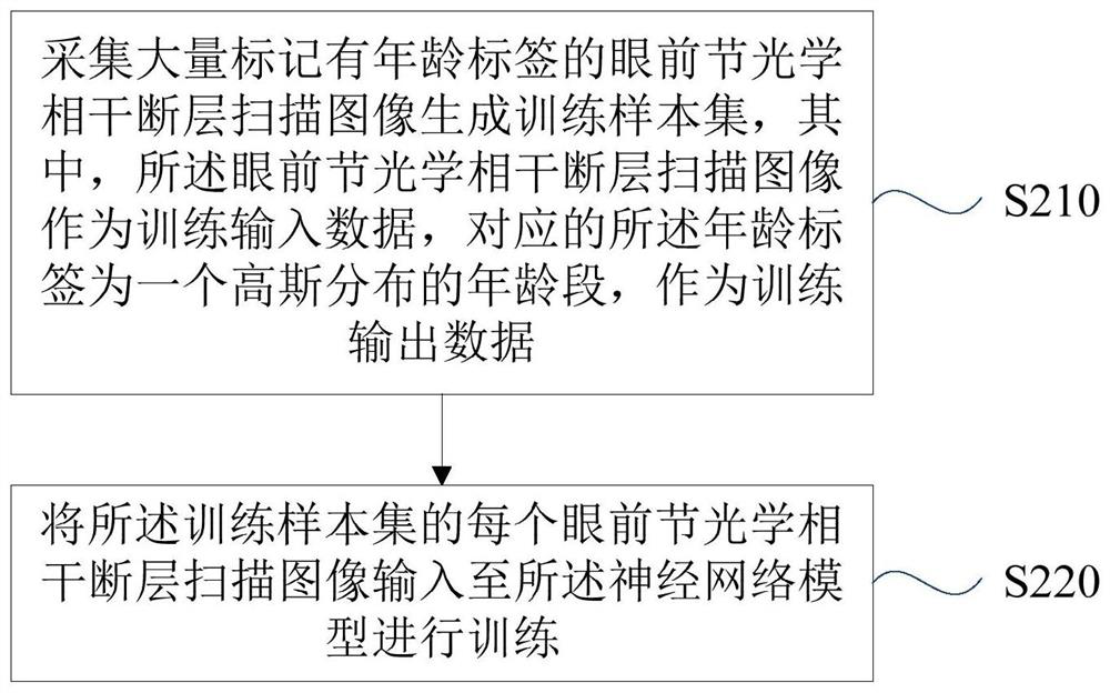 Anterior segment physiological age prediction method and device, server and storage medium