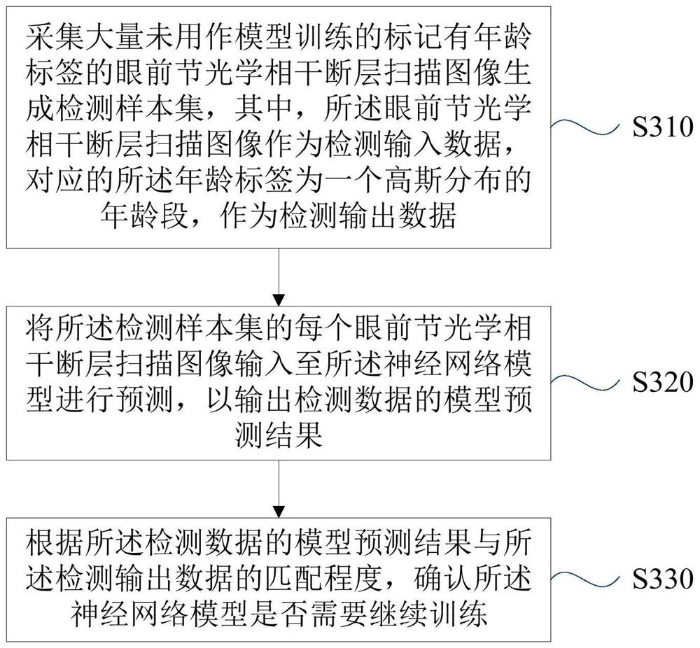 Anterior segment physiological age prediction method and device, server and storage medium