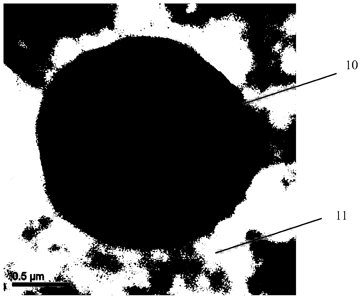 Quantum dot composition, quantum dot light-emitting material, preparation method thereof and light-emitting device containing same