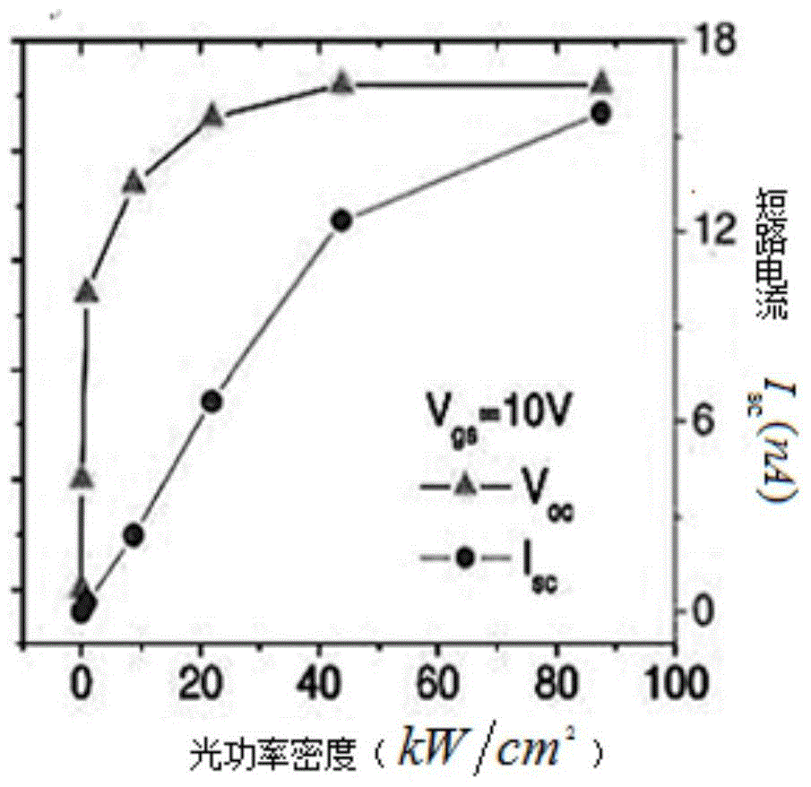 Light transmission simulation system and simulation method based on carbon nanotube photodetector