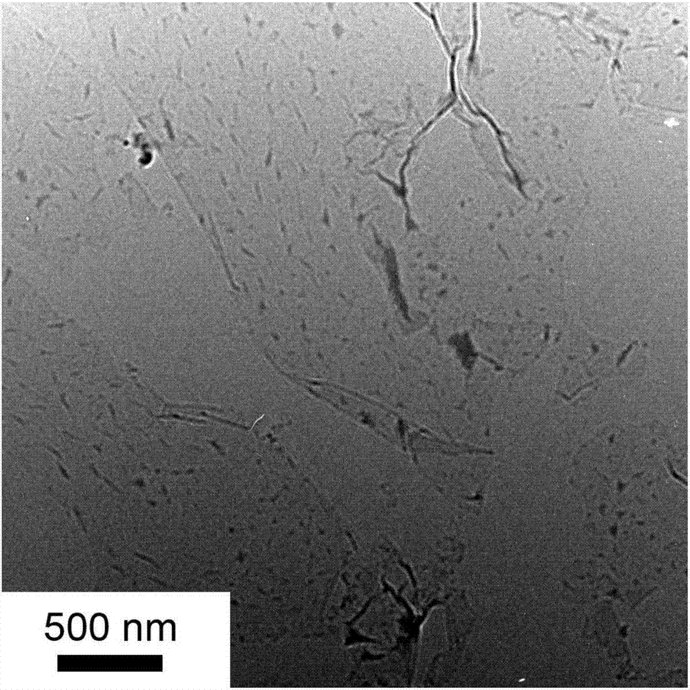 Coating composition for solar cell backboards and solar cell backboards which are coated by coating composition