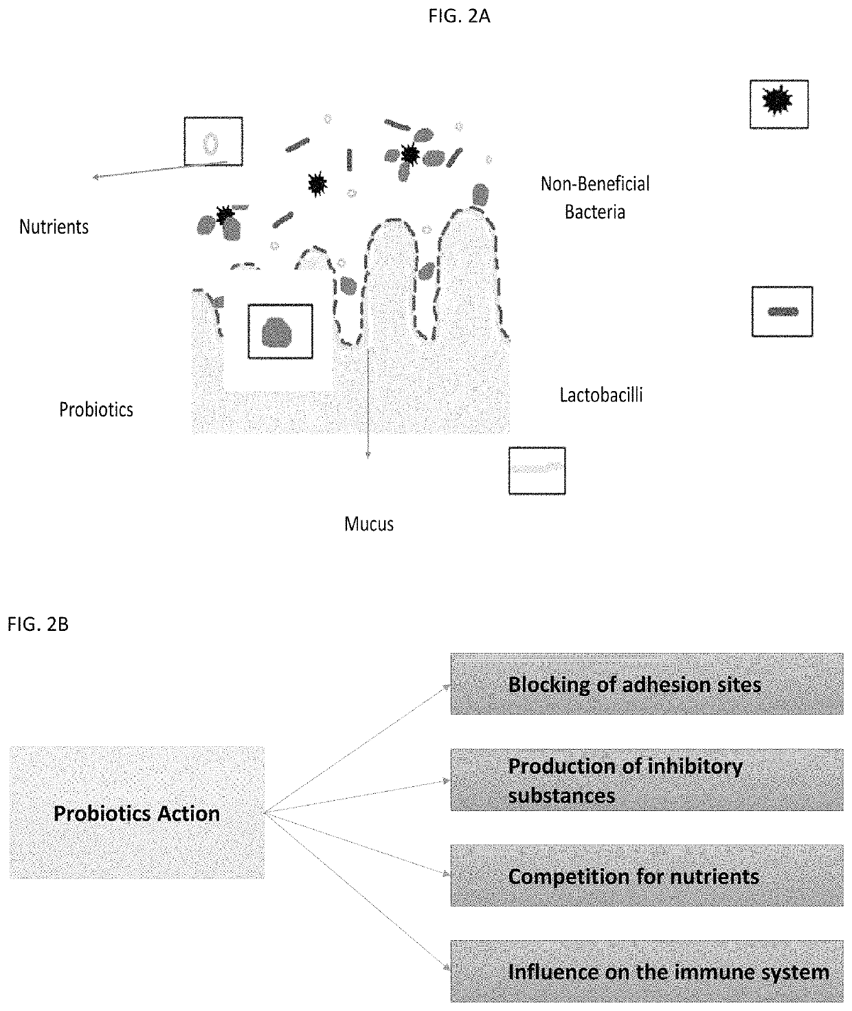 Animal feed stock using microbial enhancement