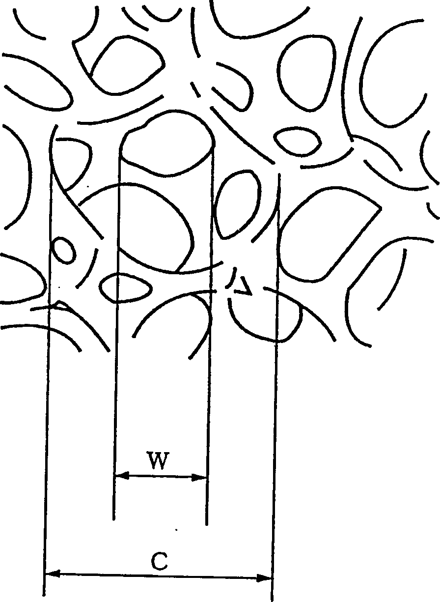 Metal porous body and making method thereof, current collector for cell having same