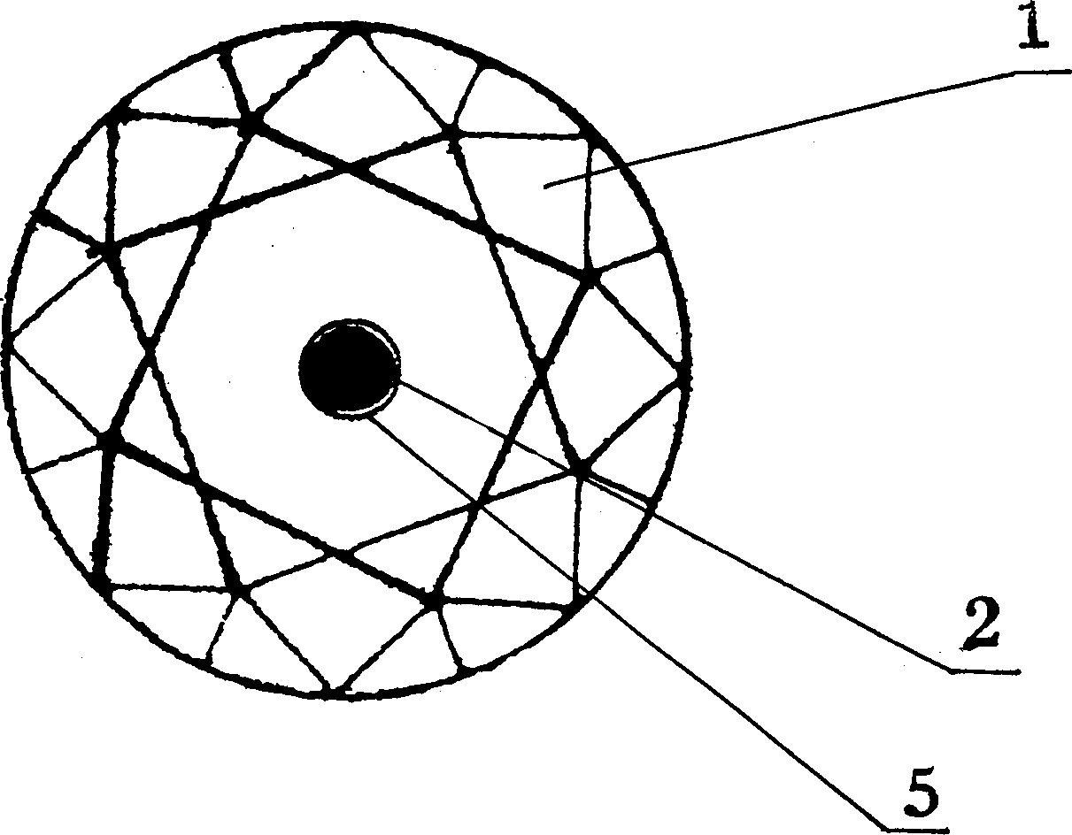 Gemstone and its processing process