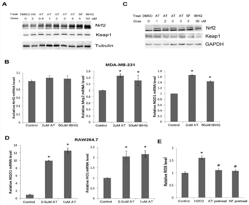 Antioxidant Application of Artemisinin