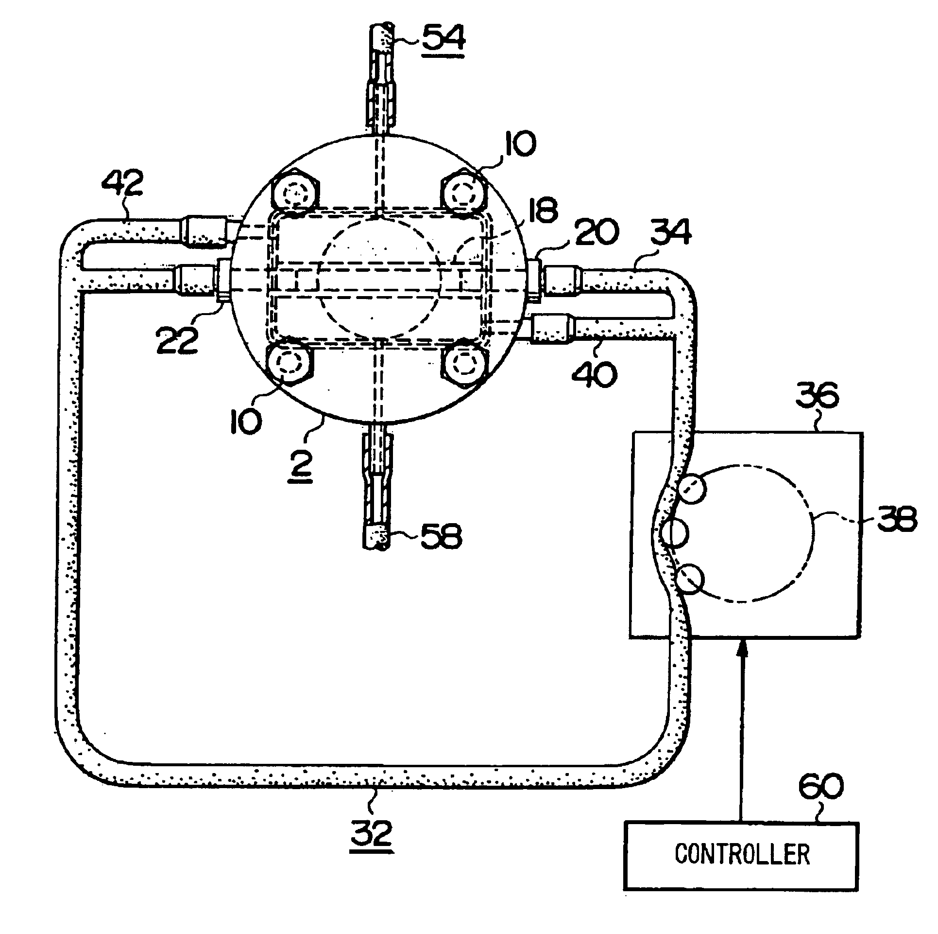 Cell/tissue culture apparatus