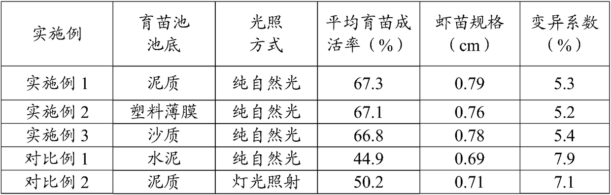 A kind of prawn nursery pond and the prawn nursery method using same