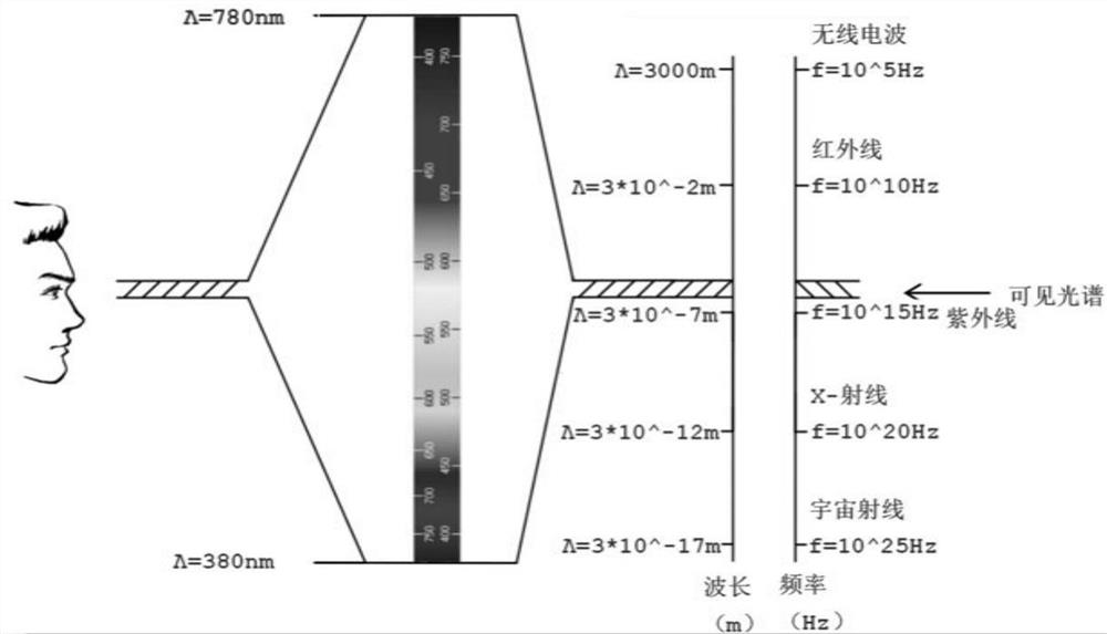 Method for measuring decolorization effect of protein polypeptide solution