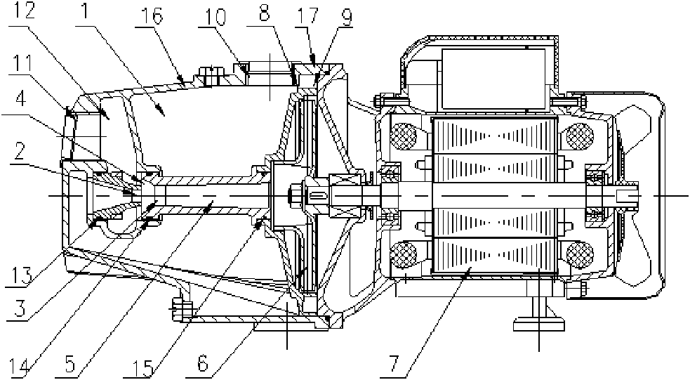 Jet flow and blade combined pump