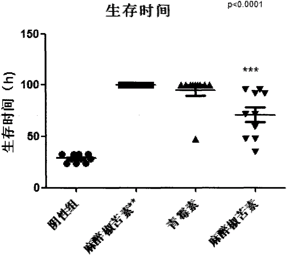 Application of anesthetic capsaicin