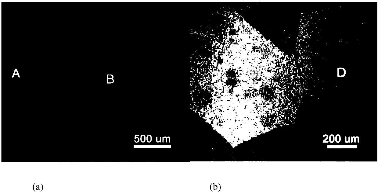 Graphene-metal heterojunction-based gas sensor array and preparation method thereof