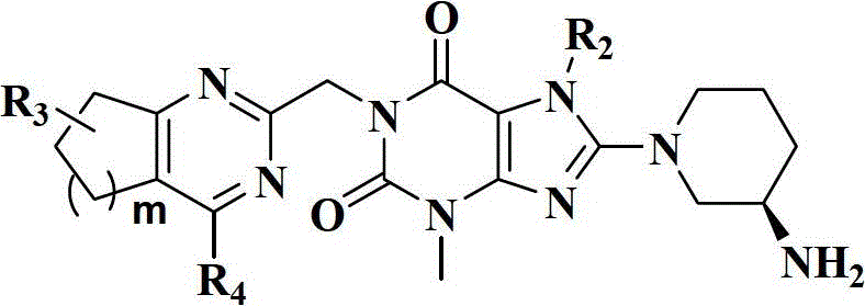 Xanthine derivatives, their preparation methods and uses