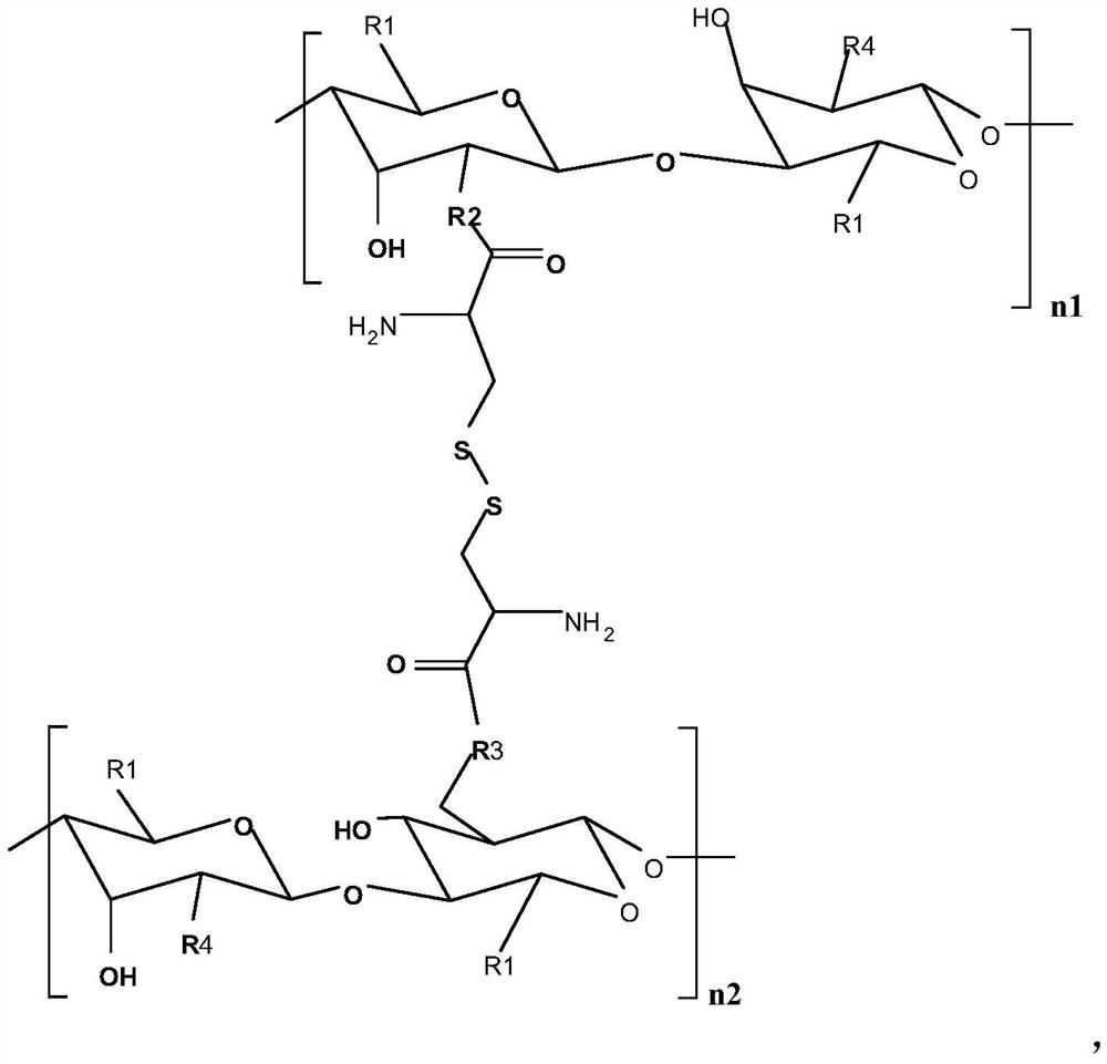 Intragastric superabsorbent gel primary product and preparation method thereof, intragastric superabsorbent gel and preparation method thereof, and weight reducing composition