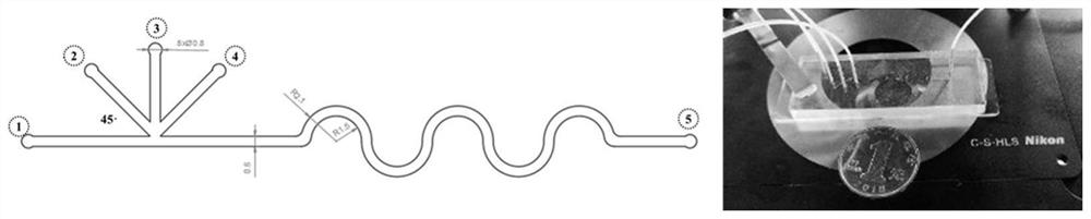 Preparation method of nanoscale 3-aminophenol formaldehyde resin particles based on microfluidic technology