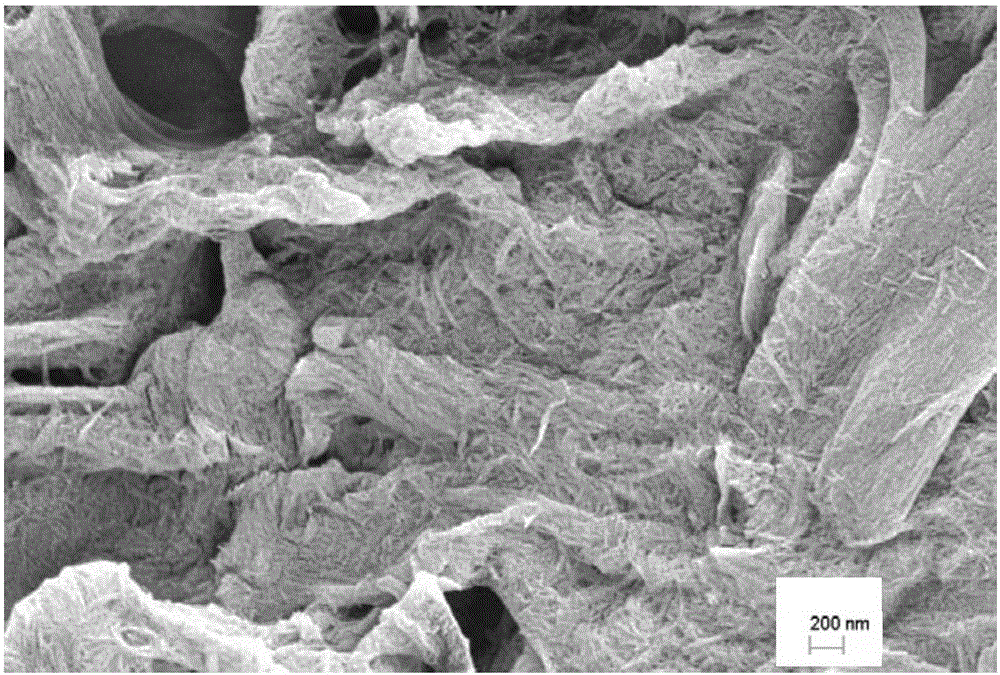 Green method of functionally modified nano-crystalline cellulose