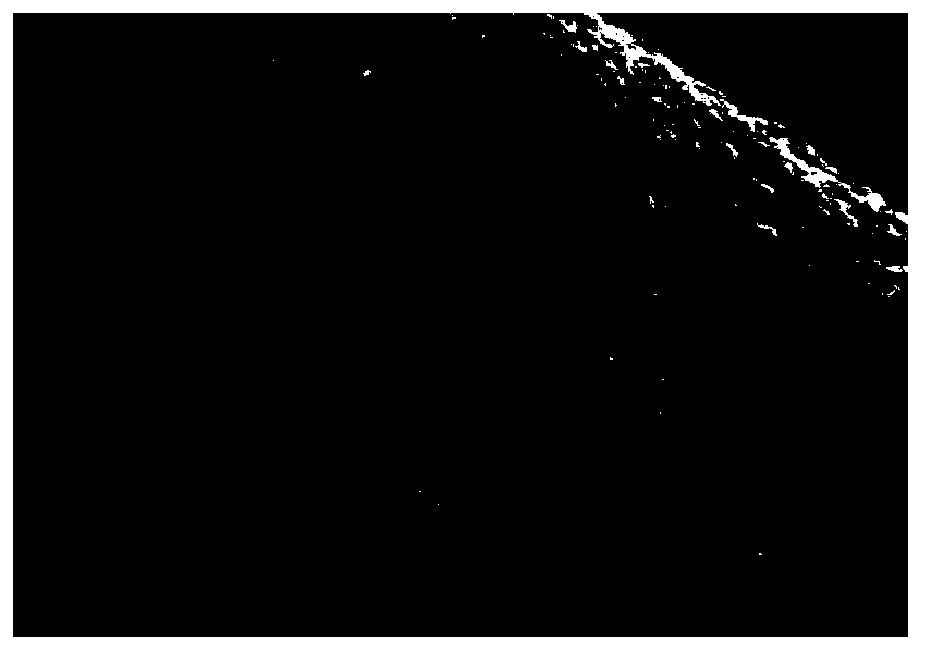 Glass fiber infiltrating agent composition as well as preparation method and application thereof